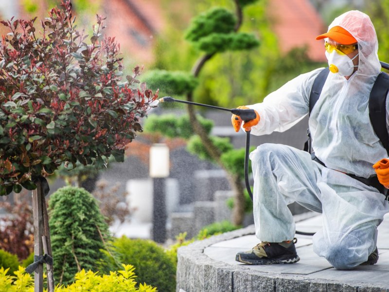 Beypazarı Haşere İlaçlama